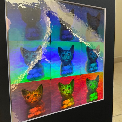 Embossed hologram cat - cat, group